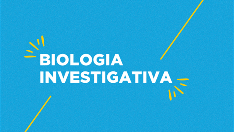Atividade estimula que 2º ano do Ensino Médio investigasse características físicas 