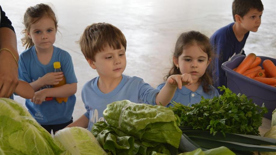 O projeto busca incentivar a alimentação saudável entre a comunidade escolar