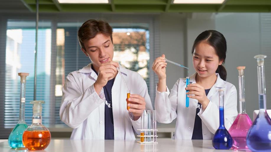 Aprender por inteiro nos Anos Finais do Ensino Fundamental é ser cidadão e enfrentar desafios.