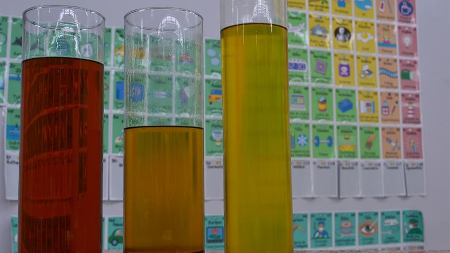 Selecionamos práticas realizadas da Educação Infantil ao Ensino Médio que visam contribuir com a conservação da natureza e cuidado com a vida