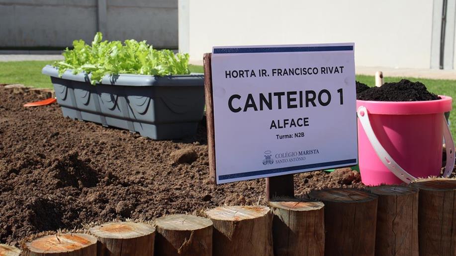 Estudantes da turma N2B deram início aos cultivos com o plantio de alface