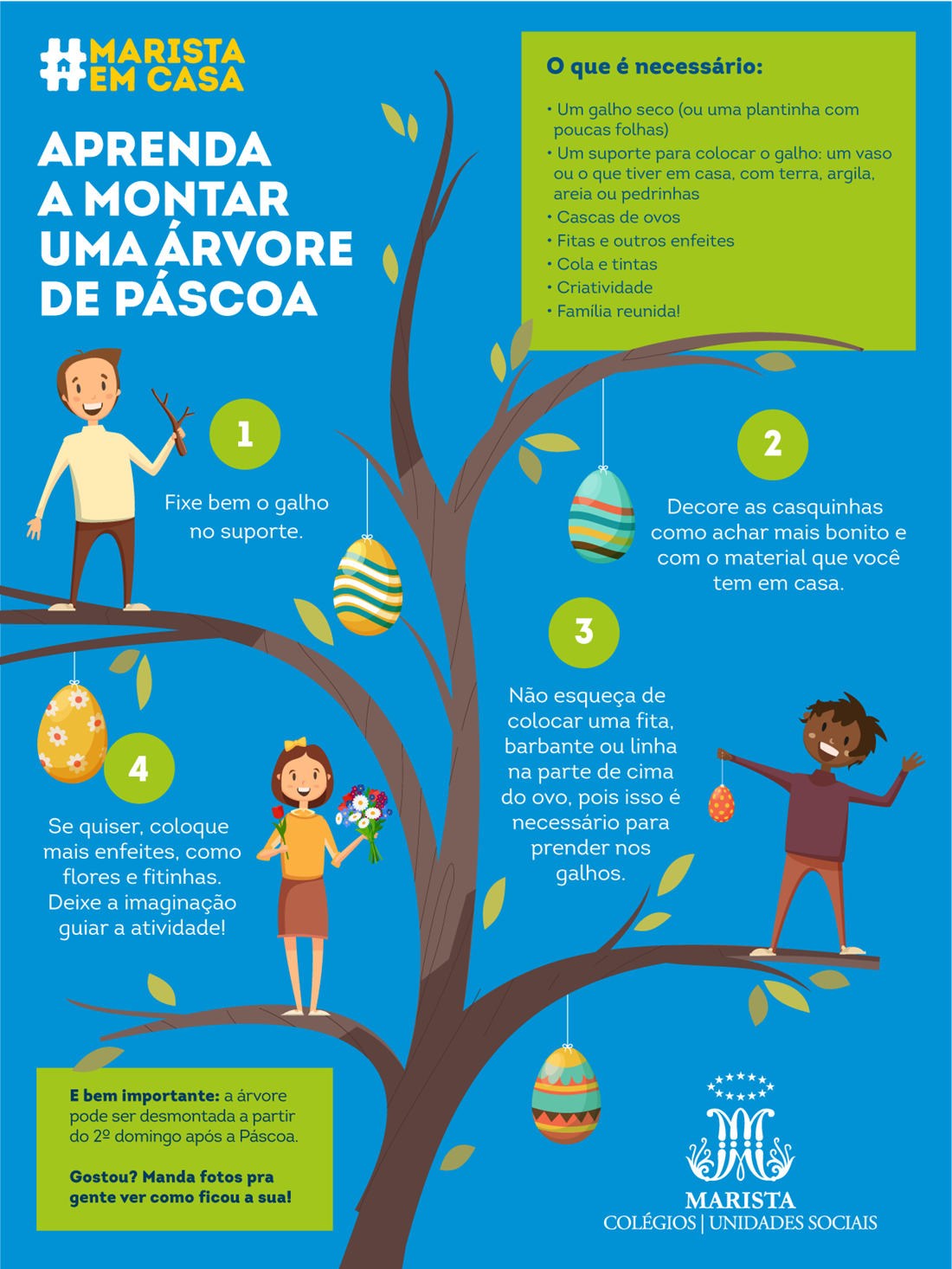 infografico arvore de pascoa.png