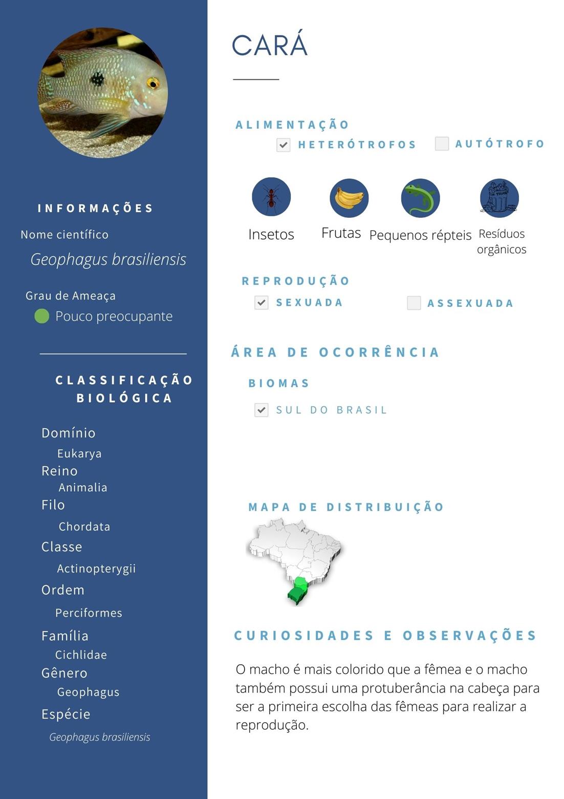 Cópia de Espécies.jpg